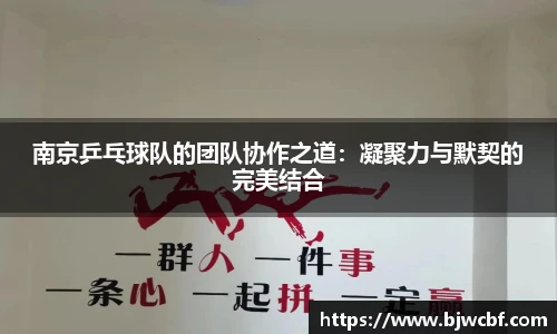南京乒乓球队的团队协作之道：凝聚力与默契的完美结合